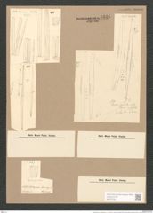 Synedra affinis var. tabulata (Ag.) V. H. (de-Toni-Nr.: Genus 66, Species 2607) Zeichnungen Sammlung Grunow Nr. 5346 (NHMW-BOT-W0373750)